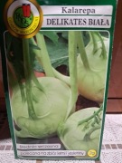 Kalarepa 'Delikates Biała'