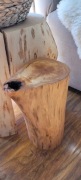Pieniek z drewna olchowego 