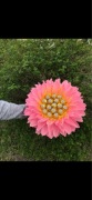 Bukiet z cukierków Golden Lily na Komunię urodziny