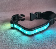Tavaler Obroża LED USB IPX7 regulowana M świecąca kolorowa