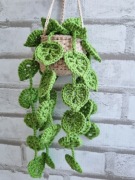 Wisząca monstera, handmade, dekoracja boho