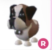 St Bernard R - Adopt Me Roblox