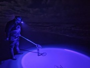 Czołówka UV latarka czołowa UV 