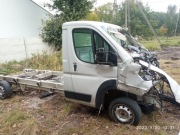 Ducato 2019 rama buda 