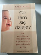 Lisa Eliot Co tam się dzieje?