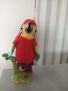 Papuga powtarzająca 