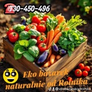Dynia hokkaido  na sztuki Smart