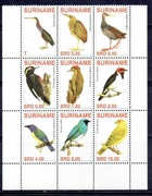 SURINAM - 2007.  PTAKI  .   **