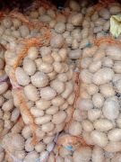 Ziemniaki odmiany Piwonia 10kg