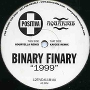 BINARY FINARY - 1999 (KAYCEE REMIX!)