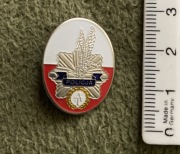 Pin BOA Policja kontrterrostyczna AT Warszawa odznaka policyjna