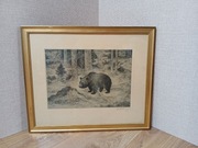 Akwaforta sygnowana ołówkiem Axel Österberg Niedźwiedź w lesie Szwecja