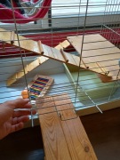 Klatka dla gryzonia lub fretki z wyposażeniem