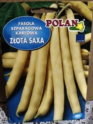 Fasola karłowa "Złota Saxa"
