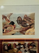 Gwinea Bissau 2001  Mi bl 327  ptaki idealna  pozycja