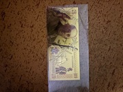 PAPIEŻ FRANCISZEK Fantazyjny Unikalny Kolekcjonerski Banknot z PCV PAMIĄTKA