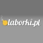 laborki.pl - domena