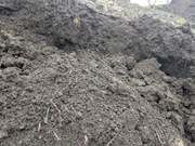 Sprzedam czarnoziem (załadunek + transport)