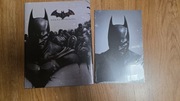 Poradnik Batman Arkham Origins limited strategy  guide