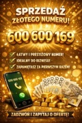 Sprzedam numer 600-600-169 