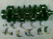 WAŁ KORBOWY PANEWKI 1.9TDI AXB AXC BRR BRS VW TRANSPORTER CARAVELLE ŁÓDŹ