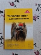Yorkshire terrier poradnik o psach york i australijski silky terrier