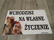 Tabliczka Wchodzisz na własne życzenie ryzyko Uwaga pies York