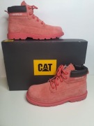 Caterpillar Colorado