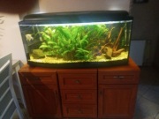 Akwarium 250 l z rybkami i pełnym osprzętem