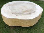 Blat plaster z pnia na stolik