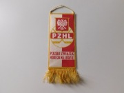 PROPORCZYK PZHL POLSKI ZWIĄZEK HOKEJA NA LODZIE hokej na lodzie