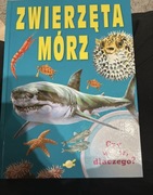 Książką geograficzną