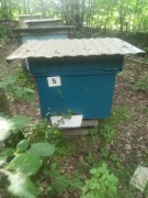 Pszczoły z matkami sklenar szt. un. z 2025 roku