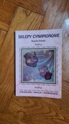 Streszczenie - Brunon Schulz "Sklepy Cynamonowe"