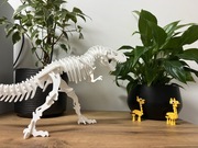 T-Rex układanka (56 elementów )