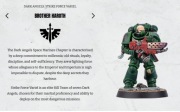 Warhammer 40k Space Marine Heroes Dark Angels (series 6) brother Haroth