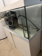  Akwarium duże 1,5 m / 1 plus szafka 