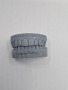 Model Anatomiczny zębów szczęka górną dolna do ćwiczeń