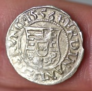 Węgry Ferdynand I denar 1556 Kremnica