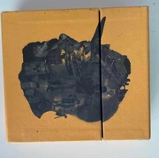 OSTR w drodze po szczęście