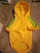 Ubranko dla małego pieska rozmiar M