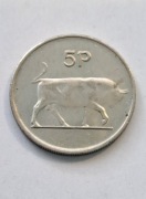 250. Moneta Irlandia 5 pensów 1993 rok 