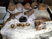 Terrarium - liany, kokosy miski itp. pozostałości 