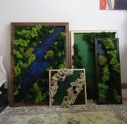 OBRAZY Z MCHU CHROBOTKA