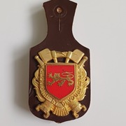 Odznaka Strażacka Forestiers de la Gironde Francja 