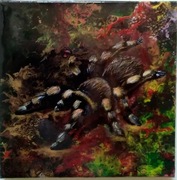 Obrazki "Pająk" "Smok" "Motyl" 