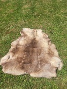Skóra Naturalna  z Renifera Skandynawskiego,dekoracyjna,dywanik  