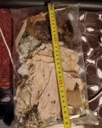 Kora Brzozowa rozpałka survival