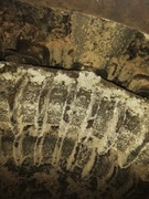 piec grzewczy viadrus u22