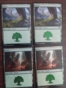 Forest folie Outlaws of thunder junction MTG 4 sztuki